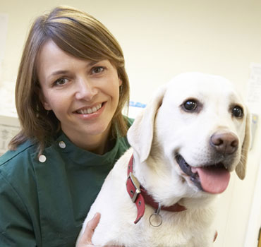 Veterinary Assistant Program Online